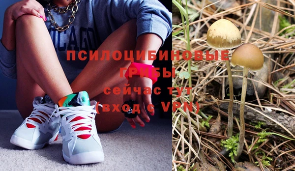 2c-b Михайлов