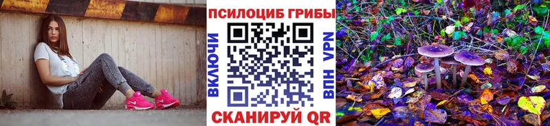 сколько стоит  Чкаловск  Псилоцибиновые грибы мицелий 